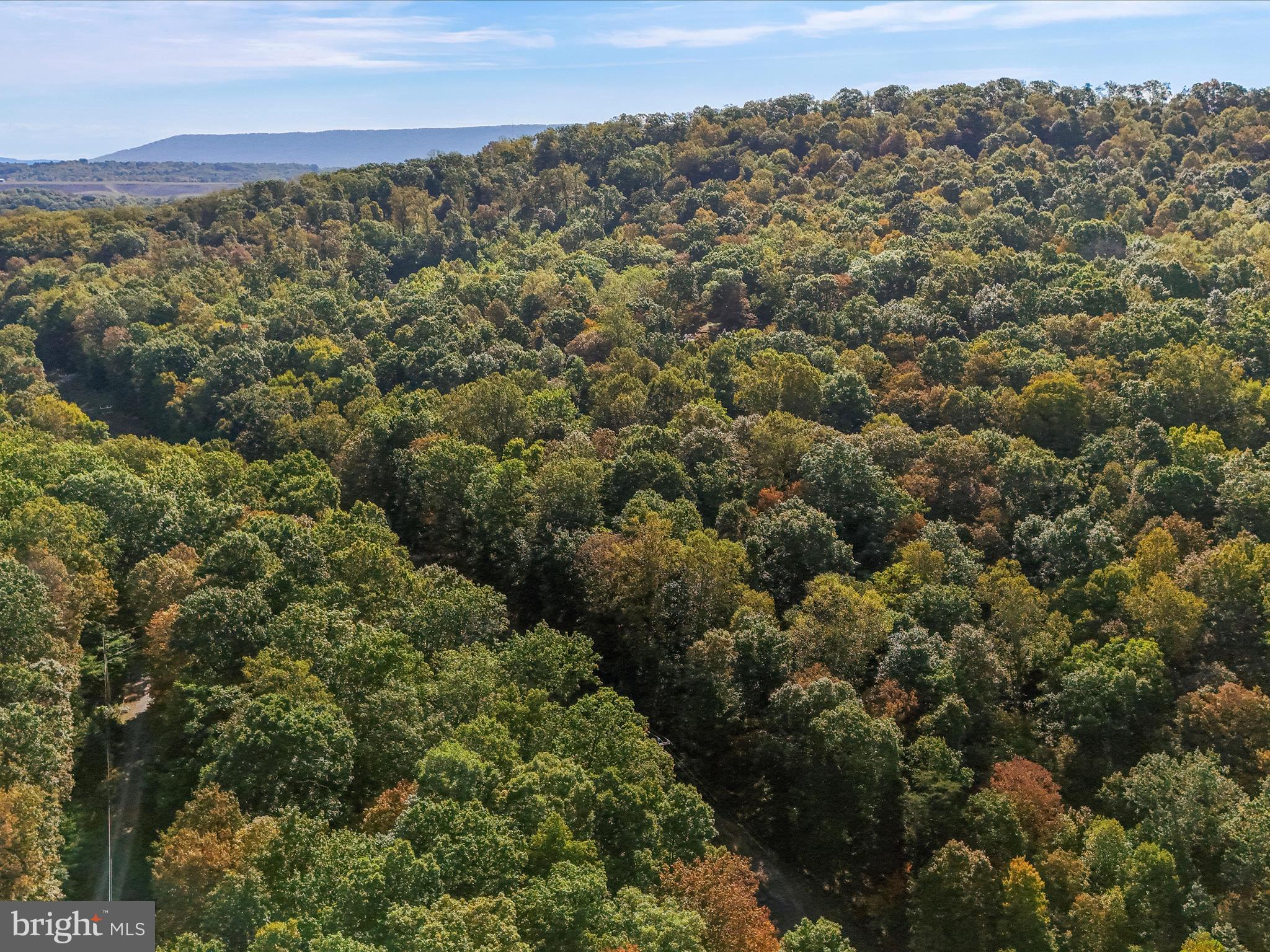 TREELAND HILLS - Land