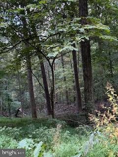 TREELAND HILLS - Land