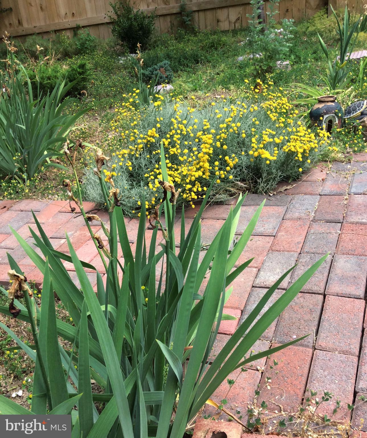 CEDAR RUN - Residential