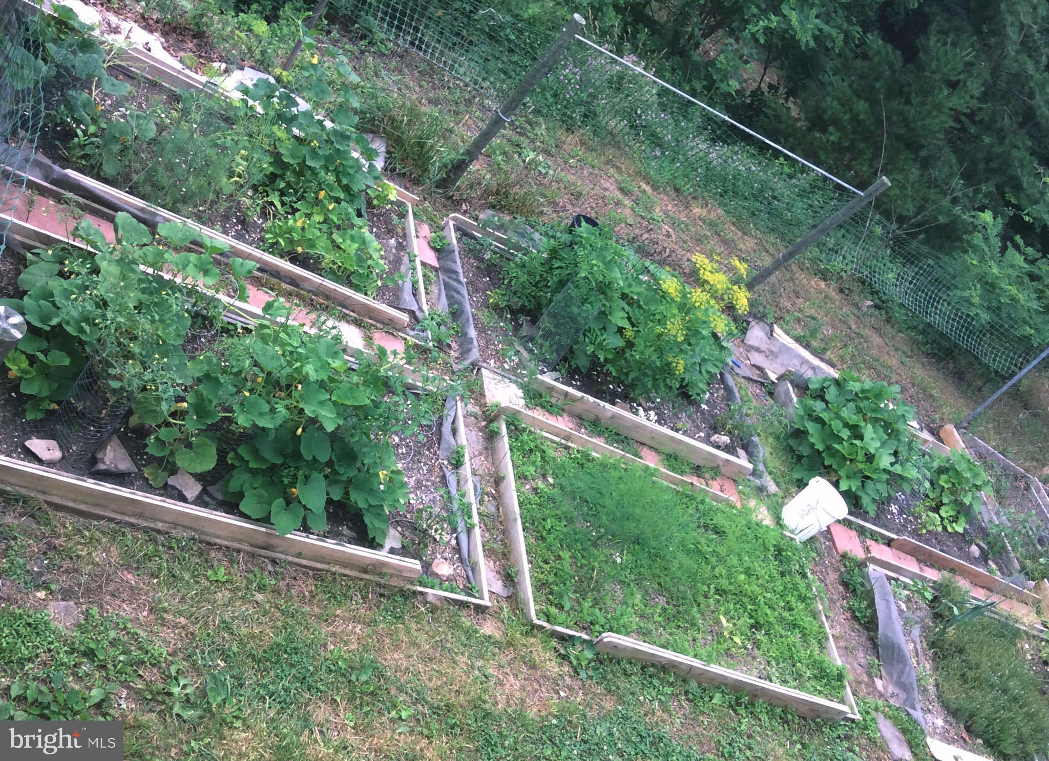 CEDAR RUN - Residential