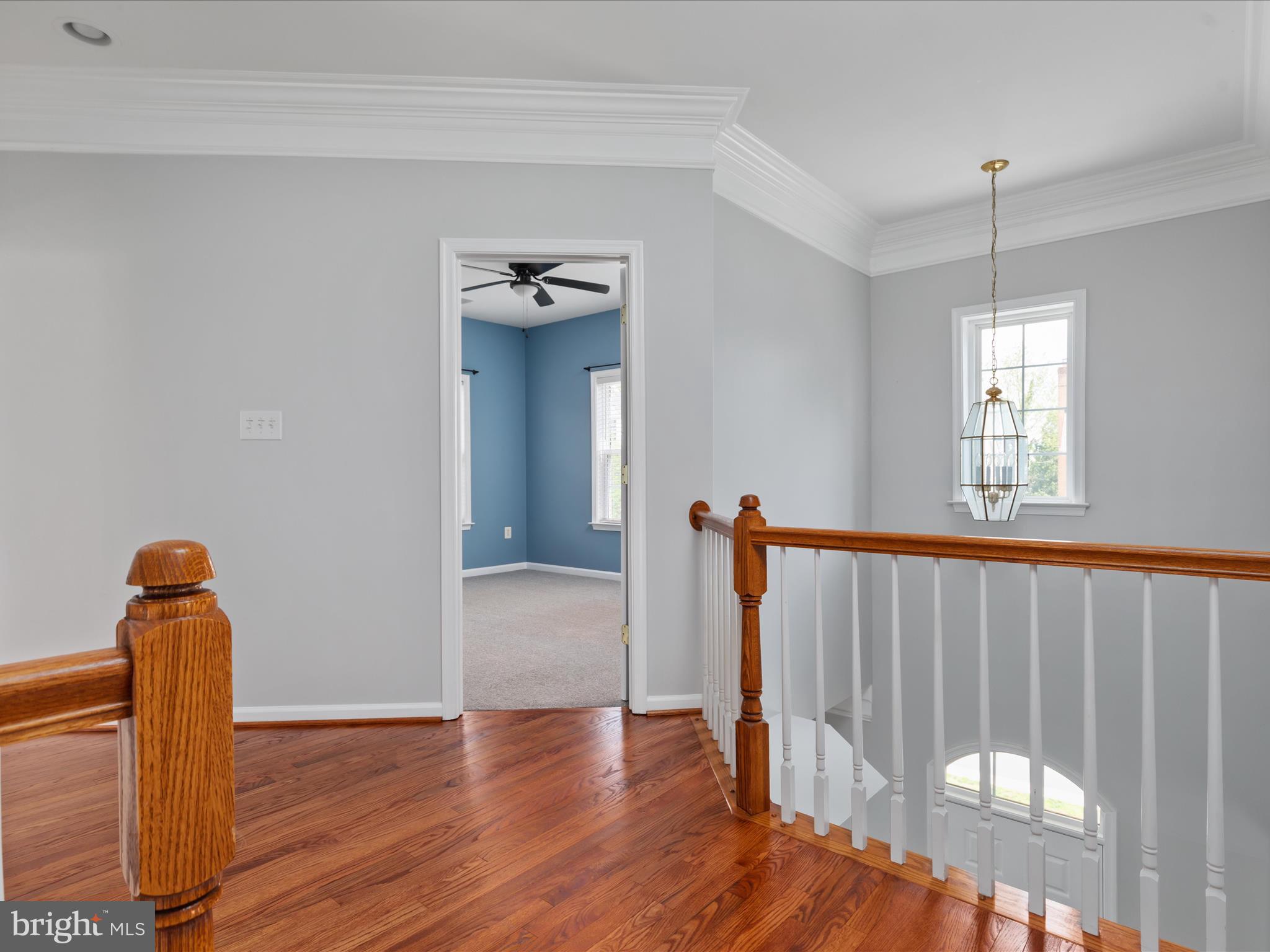 HAYMARKET STATION - Residential