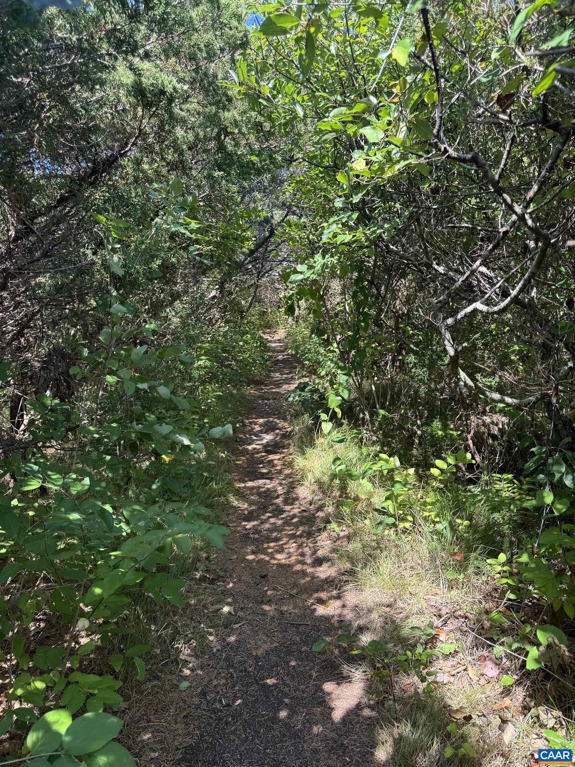 BEND OF THE RIVER - Land