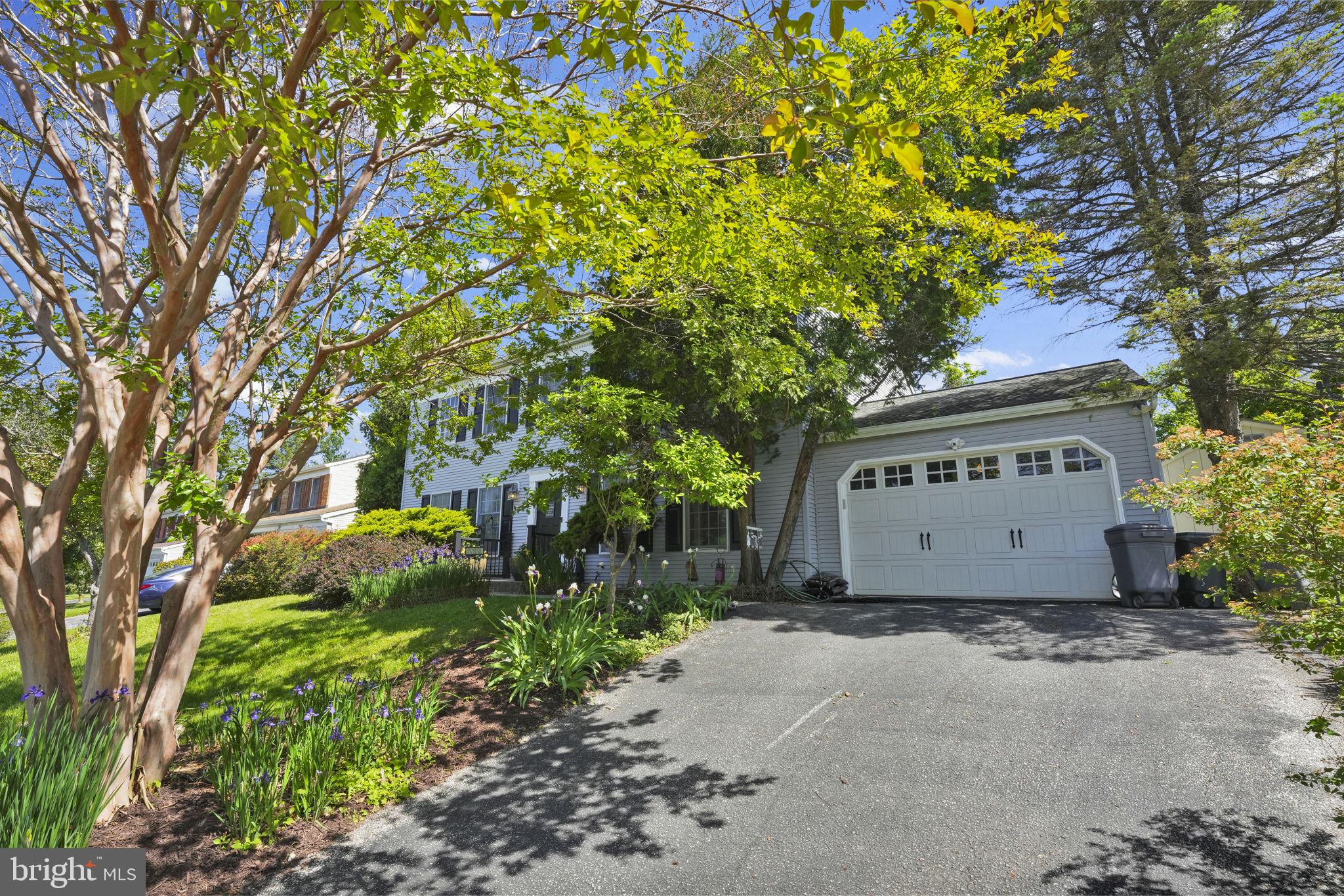 509 CENTRAL AVE COURT