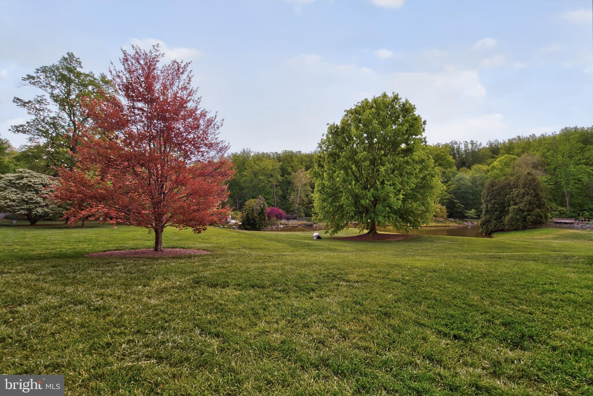 SHERWOOD FOREST MANOR - Residential