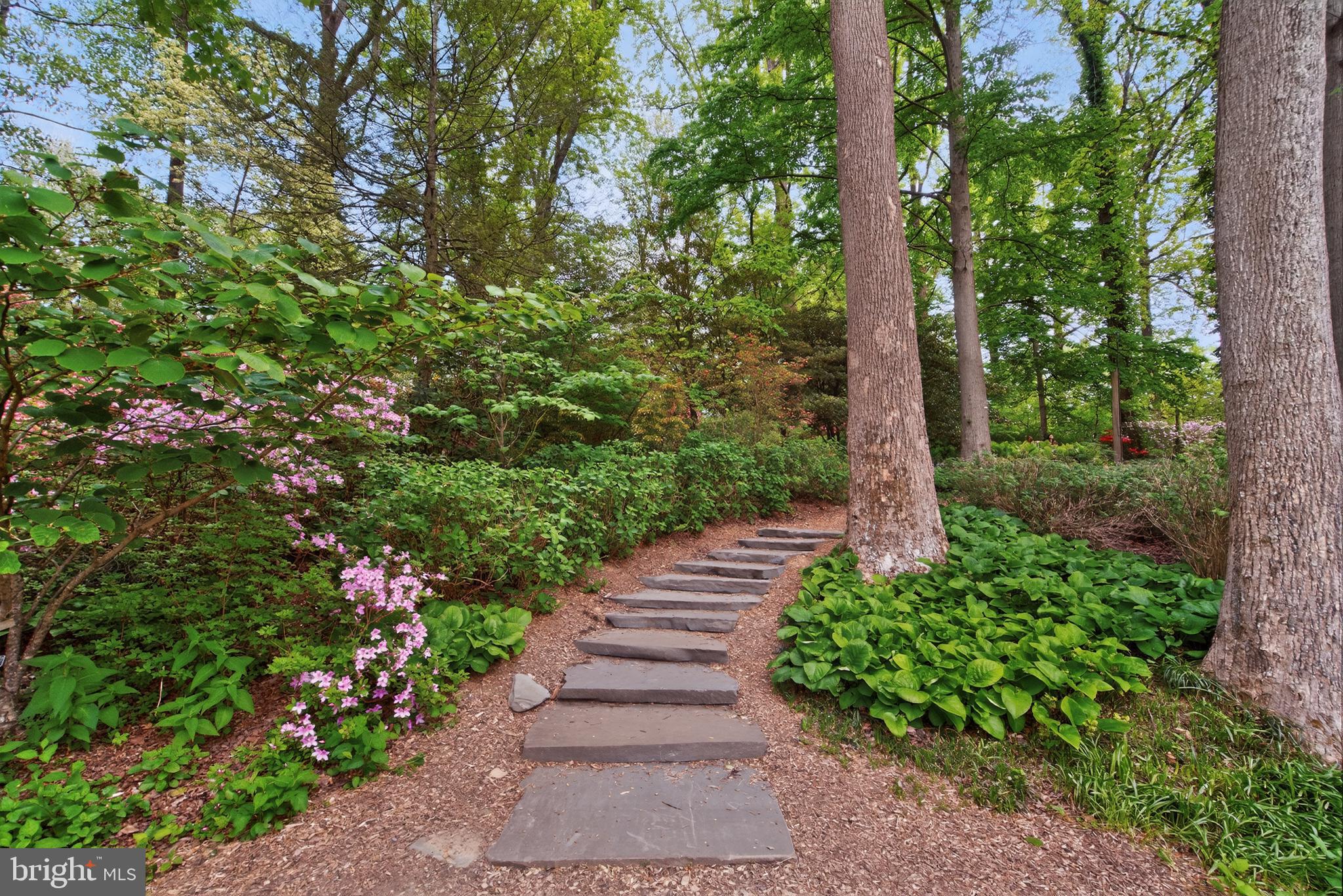 SHERWOOD FOREST MANOR - Residential