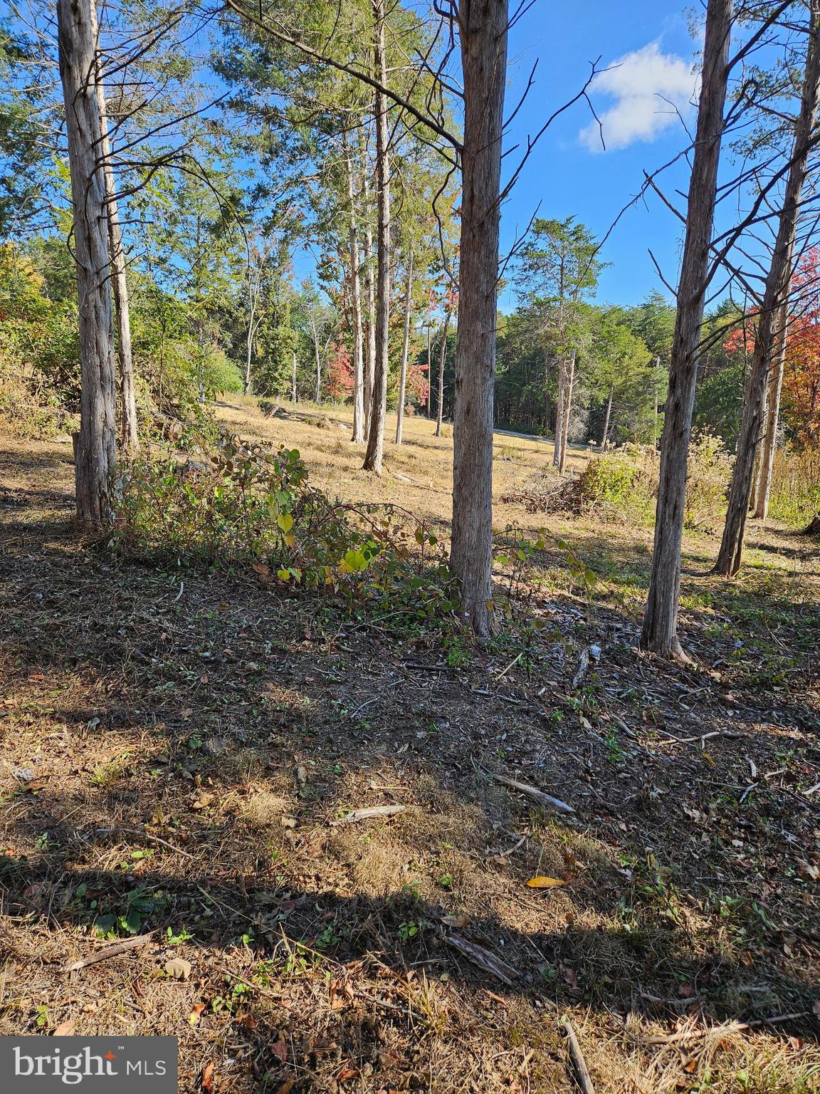 MOUNTAIN VIEW - Land