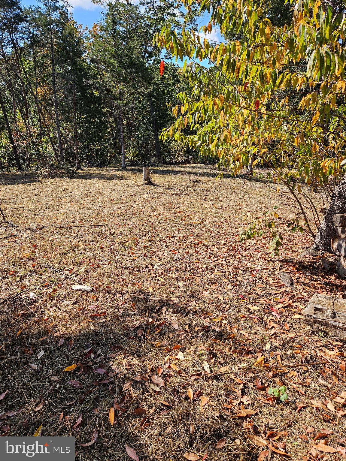 MOUNTAIN VIEW - Land