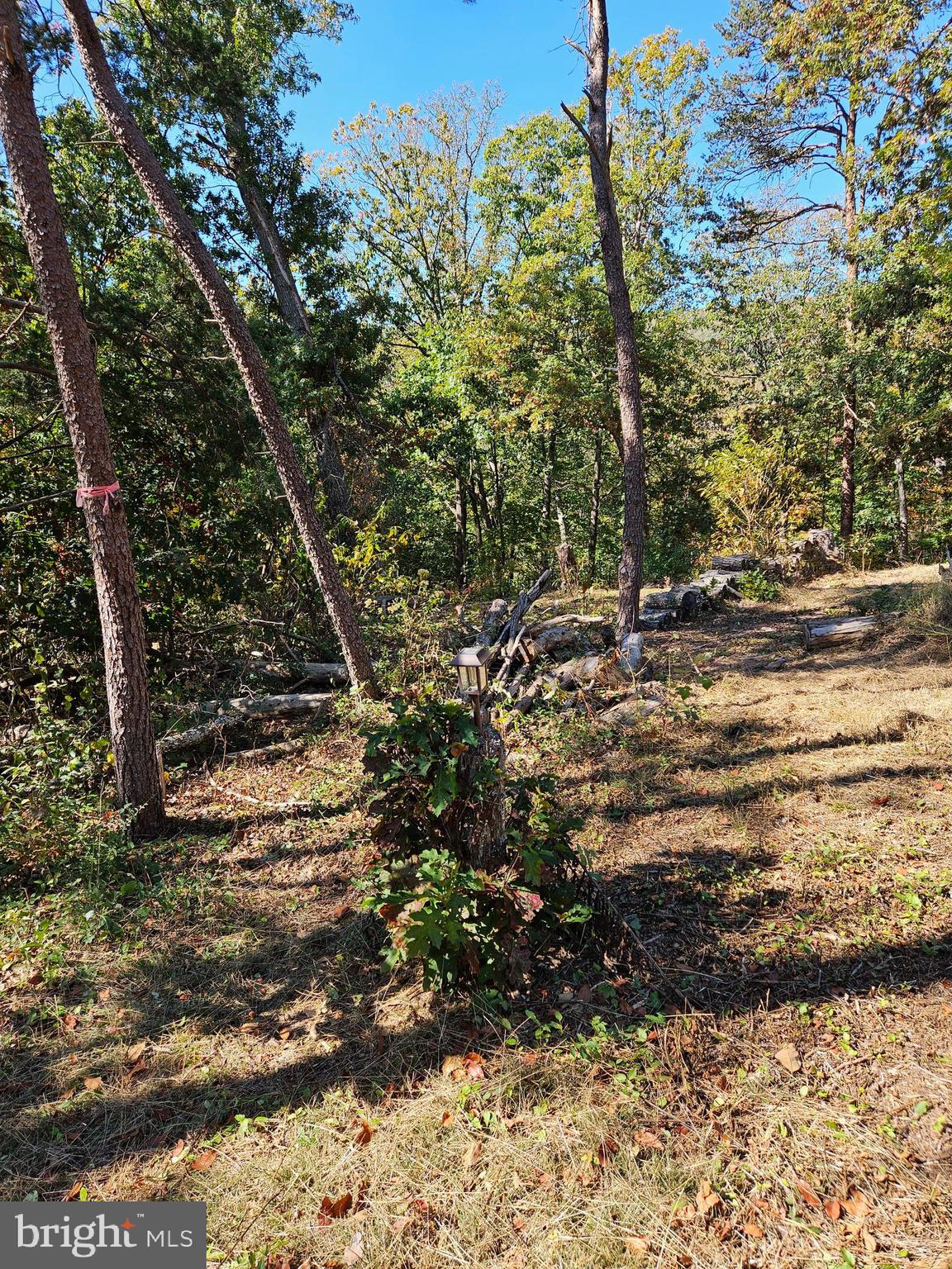 MOUNTAIN VIEW - Land