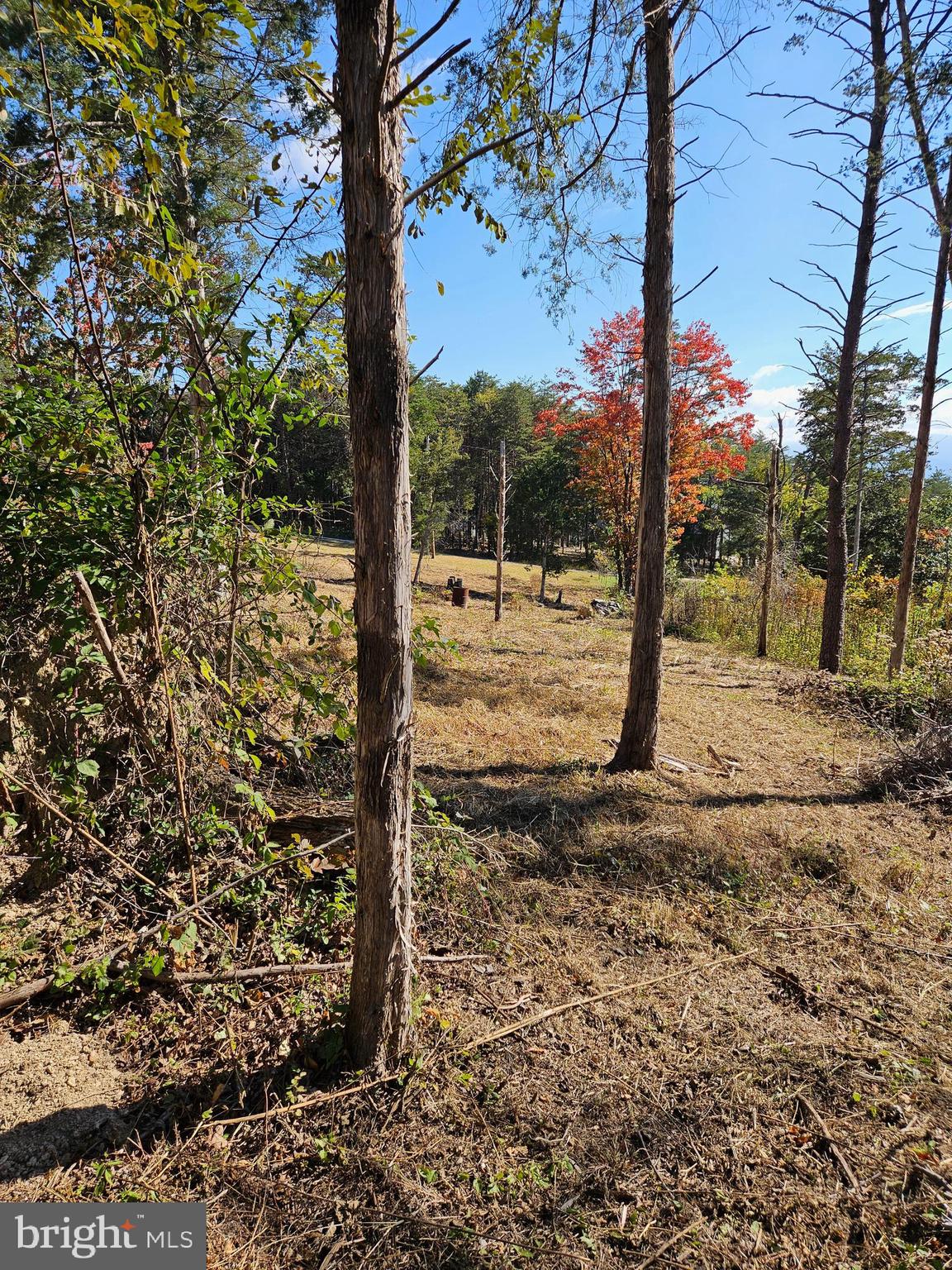 MOUNTAIN VIEW - Land