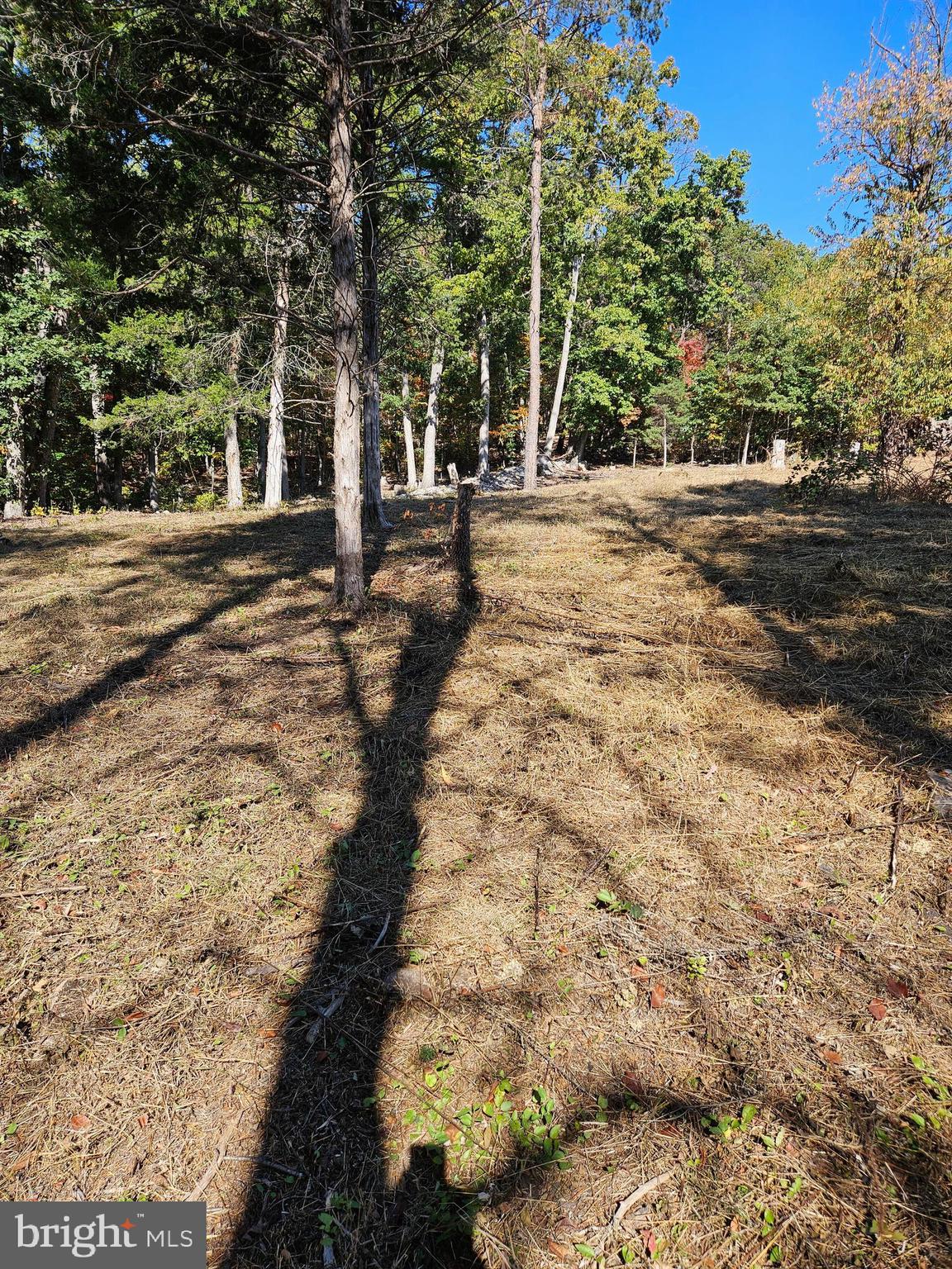 MOUNTAIN VIEW - Land