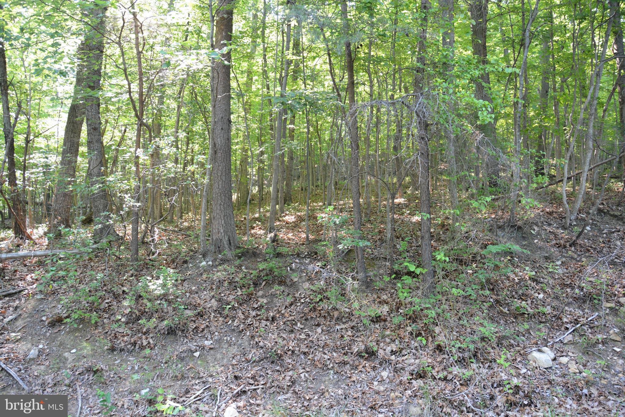 3 Lots - 59, 60, 61 BALDWIN ROAD