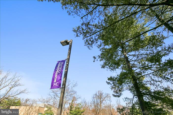 TAKOMA PARK - Residential