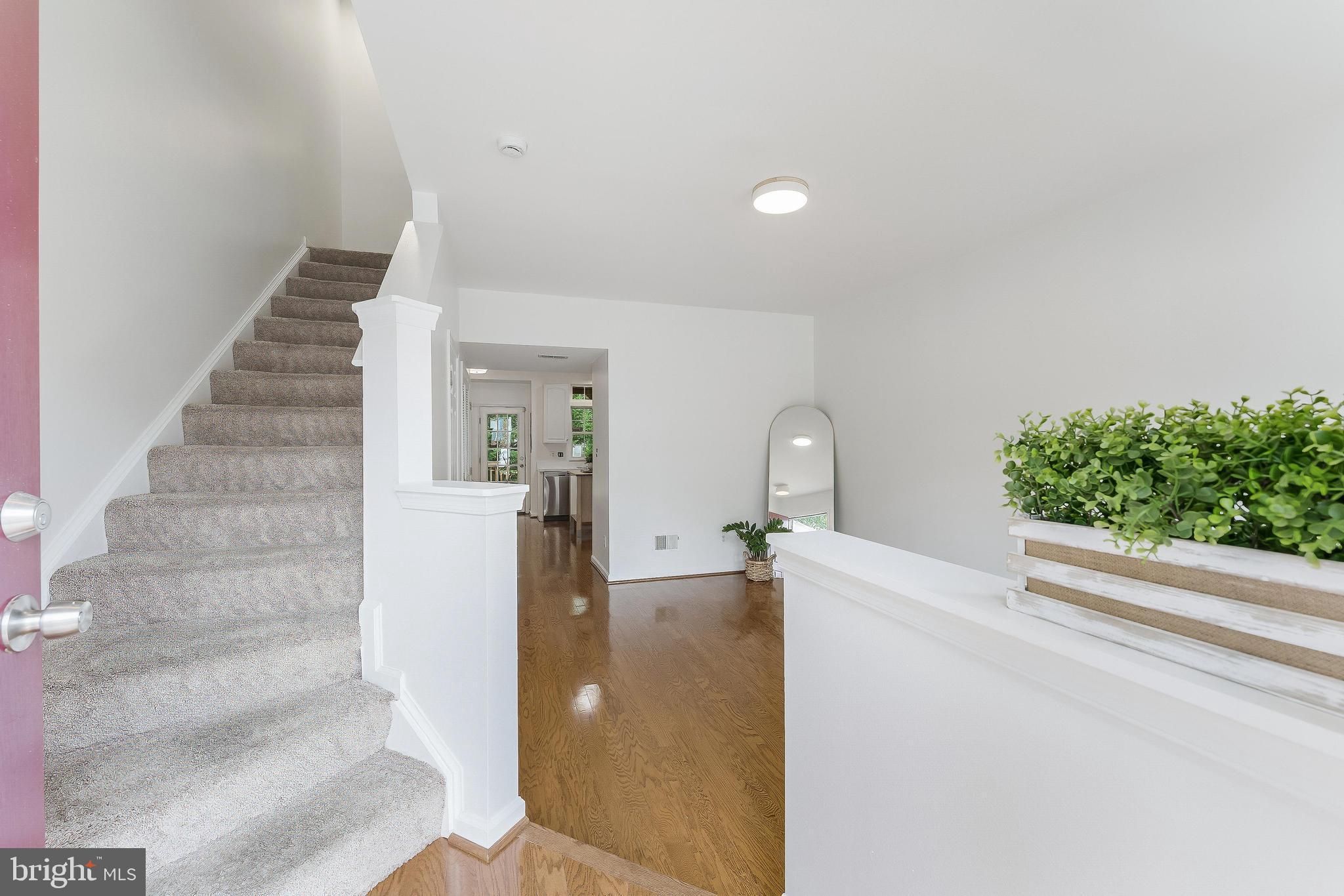 1955 TEASEL COURT