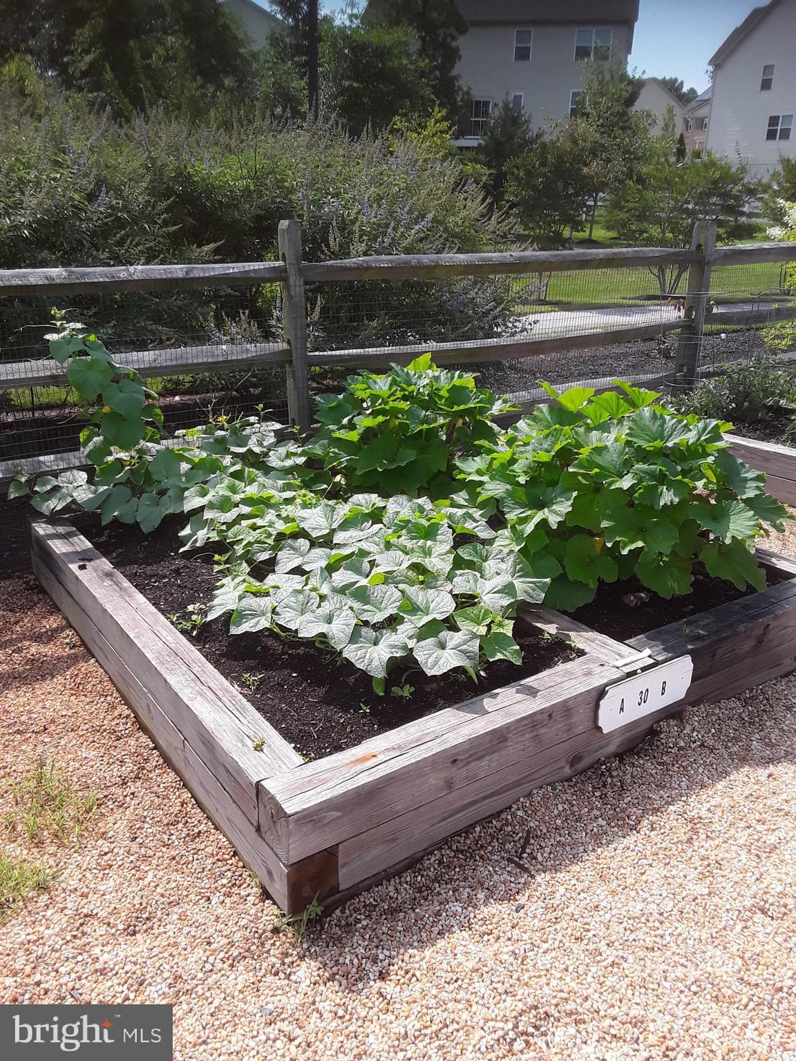 TANYARD SPRINGS - Residential