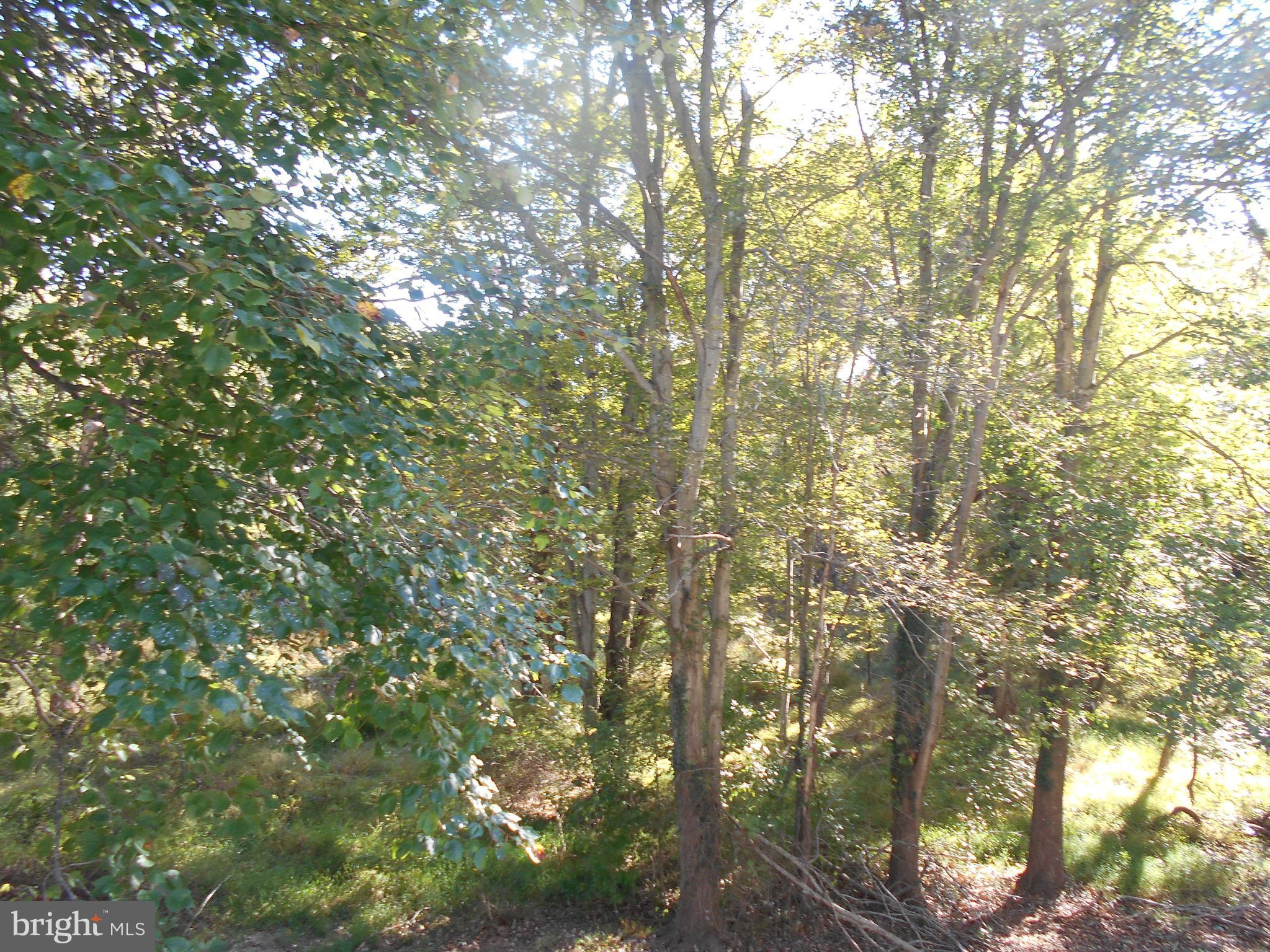 VILLAGE OF KINGS CONTRIVANCE - Residential Lease