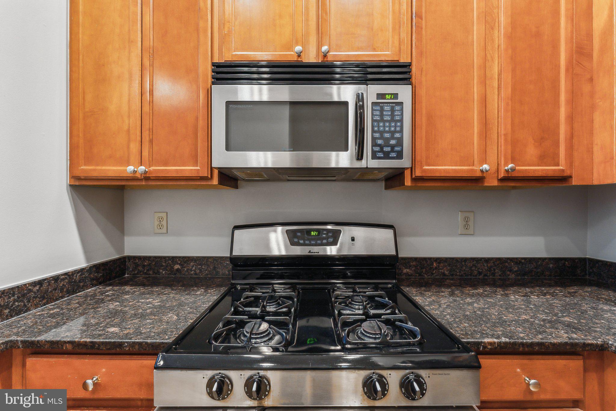 HALSTEAD AT THE METRO - Residential