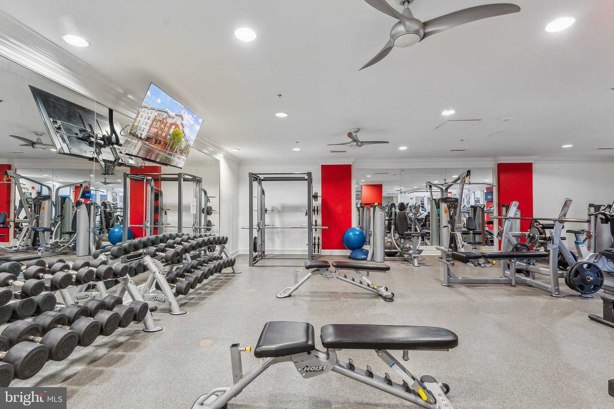 HALSTEAD AT THE METRO - Residential