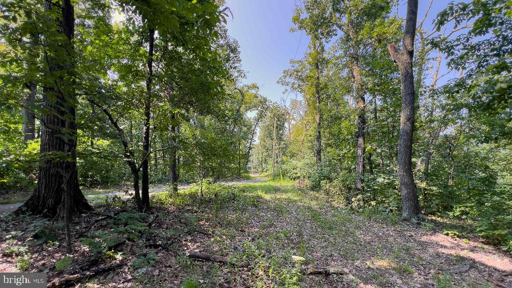 LITTLE NORTH MOUNTAIN - Land