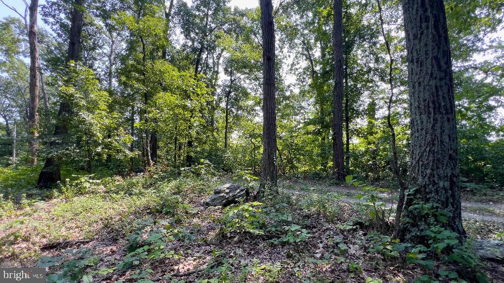 LITTLE NORTH MOUNTAIN - Land