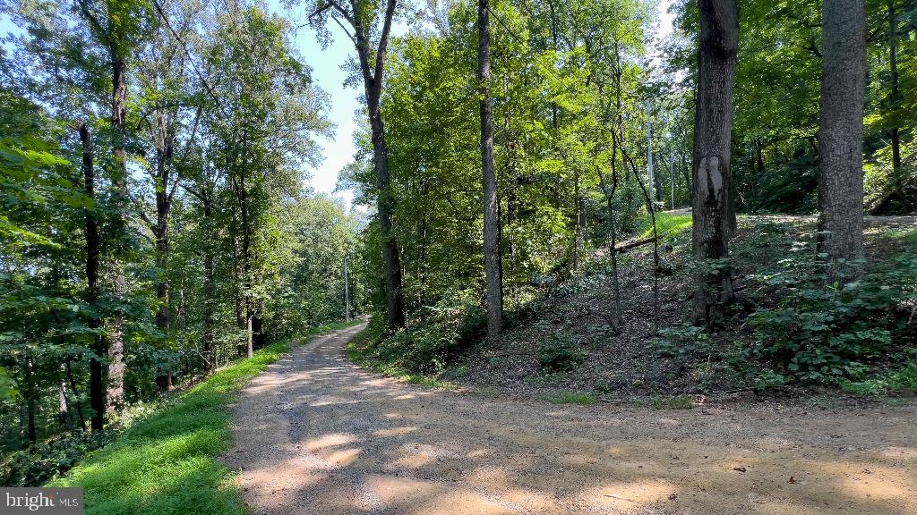 LITTLE NORTH MOUNTAIN - Land