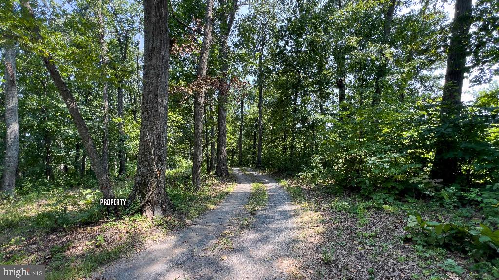 LITTLE NORTH MOUNTAIN - Land