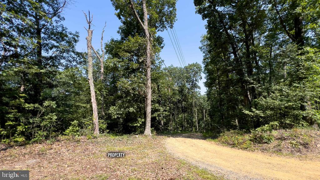 LITTLE NORTH MOUNTAIN - Land