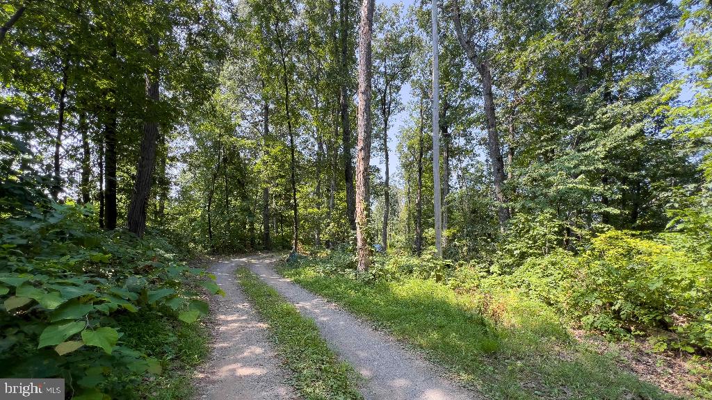 LITTLE NORTH MOUNTAIN - Land