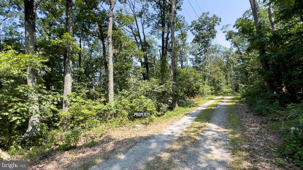 LITTLE NORTH MOUNTAIN - Land