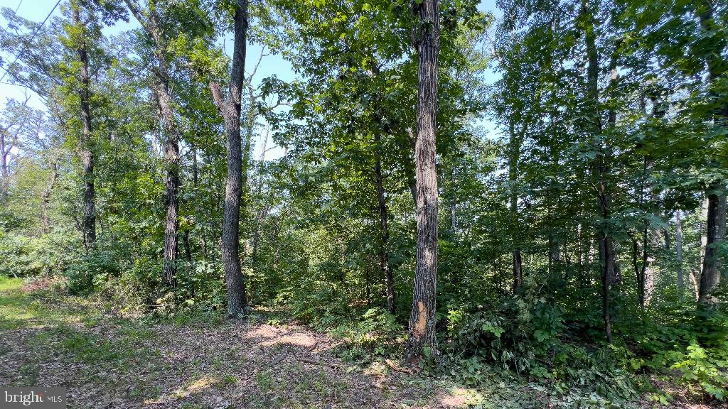 LITTLE NORTH MOUNTAIN - Land