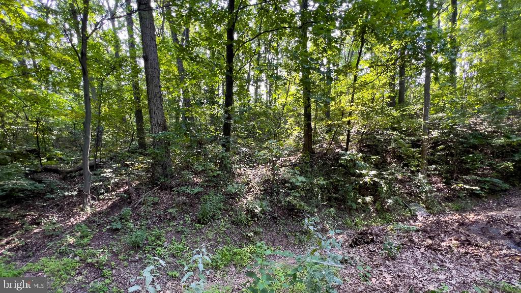 LITTLE NORTH MOUNTAIN - Land