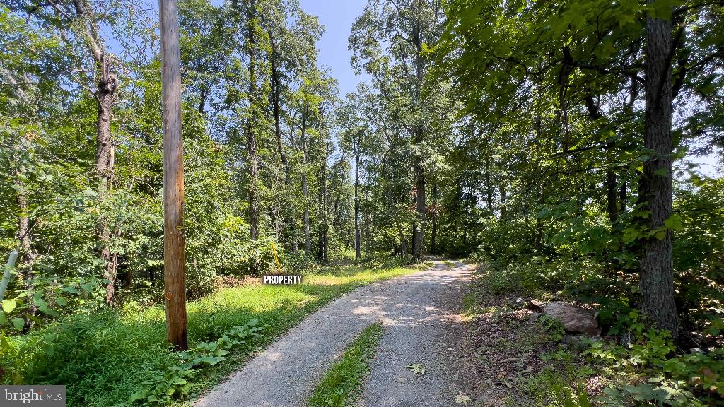 LITTLE NORTH MOUNTAIN - Land