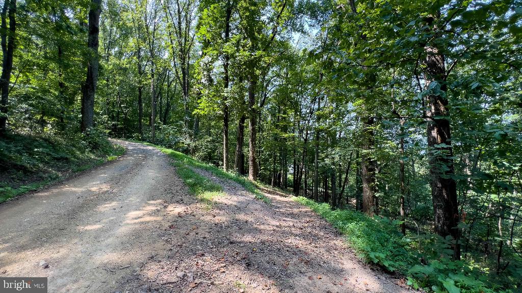 LITTLE NORTH MOUNTAIN - Land