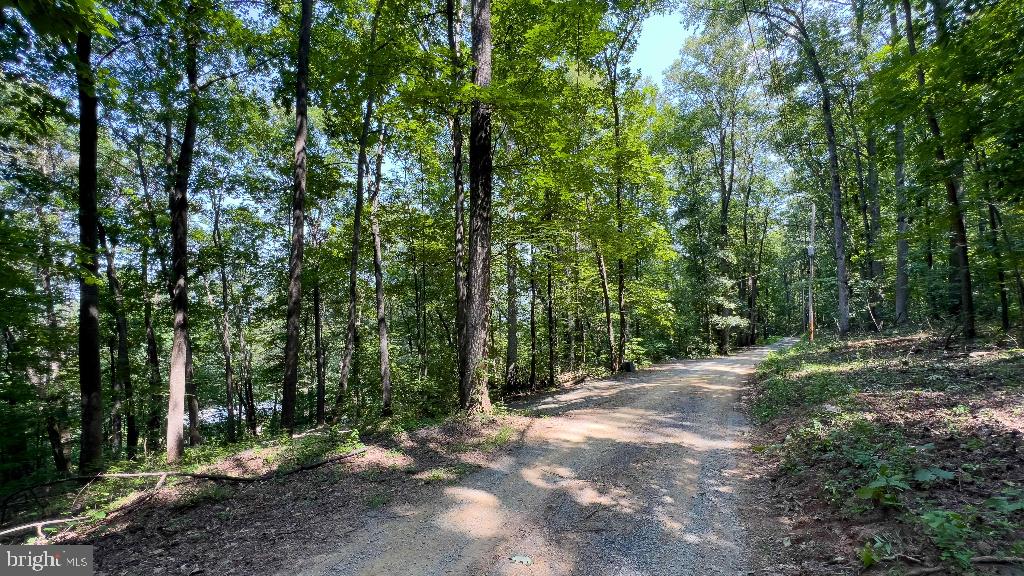 LITTLE NORTH MOUNTAIN - Land