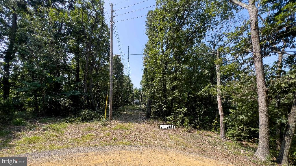 LITTLE NORTH MOUNTAIN - Land