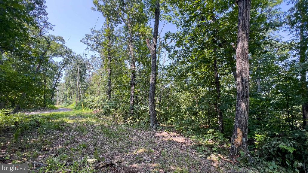 LITTLE NORTH MOUNTAIN - Land