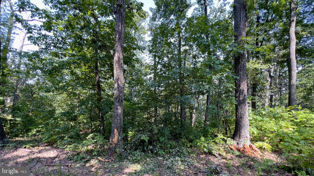 LITTLE NORTH MOUNTAIN - Land