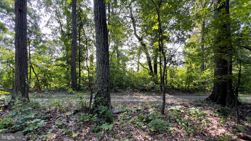 LITTLE NORTH MOUNTAIN - Land