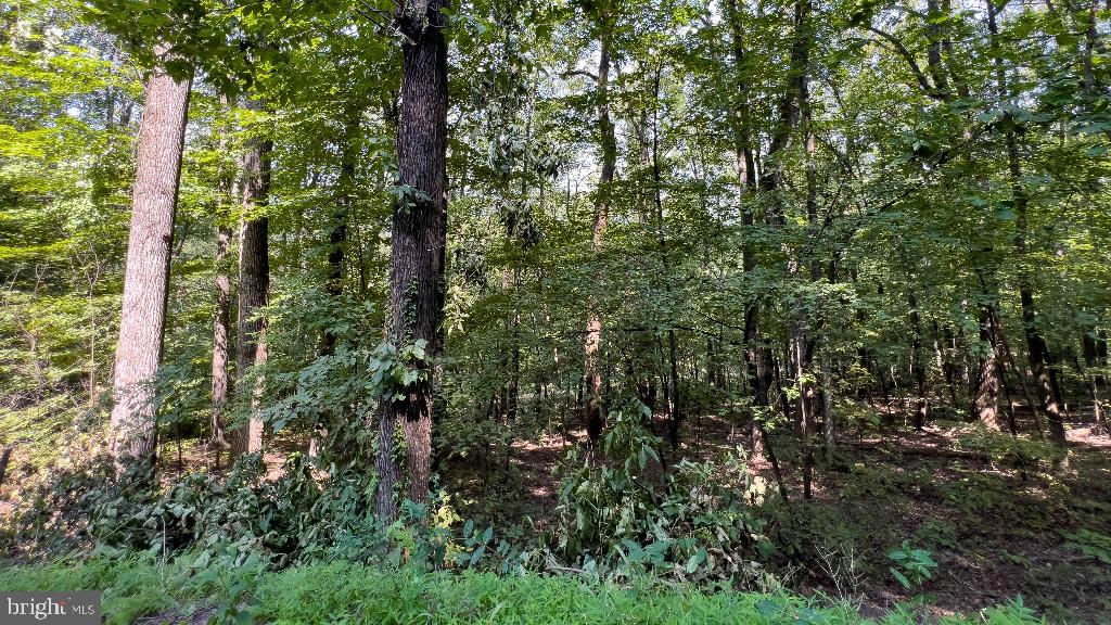 LITTLE NORTH MOUNTAIN - Land