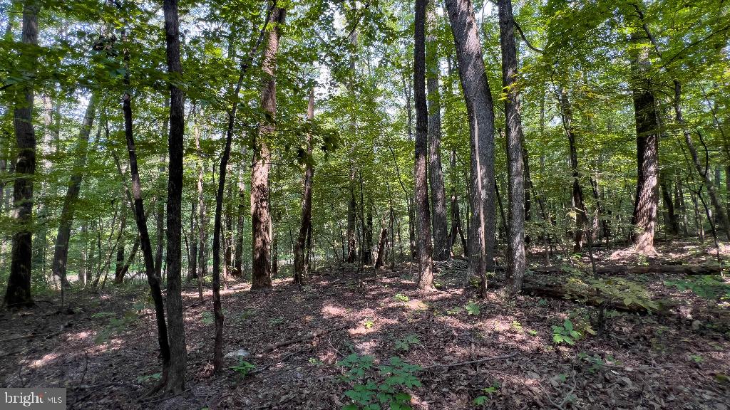 LITTLE NORTH MOUNTAIN - Land