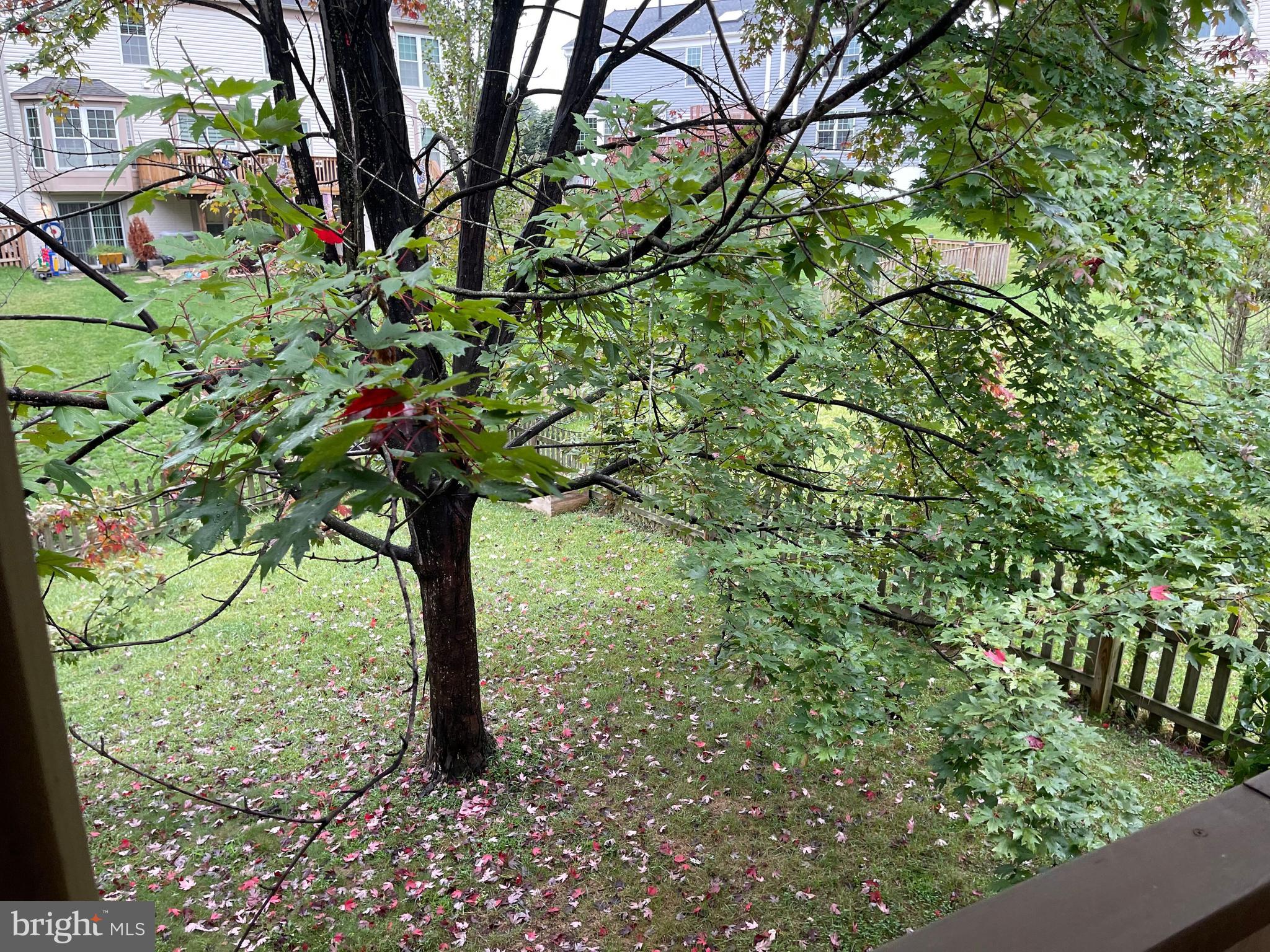 TWIN OAKS FARM - Residential Lease