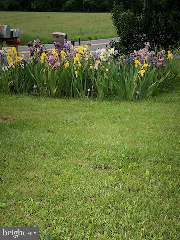 LAURA BAILEY - Residential