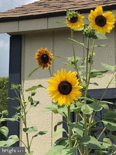 LAURA BAILEY - Residential