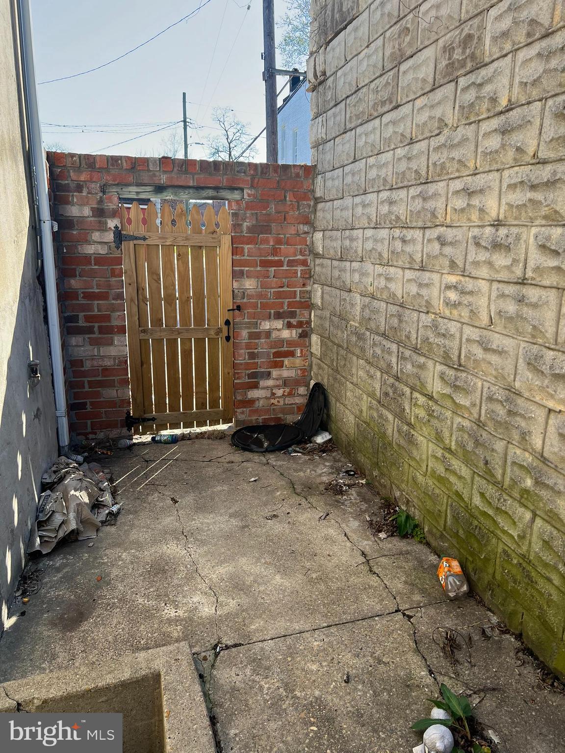 Main image without alt text