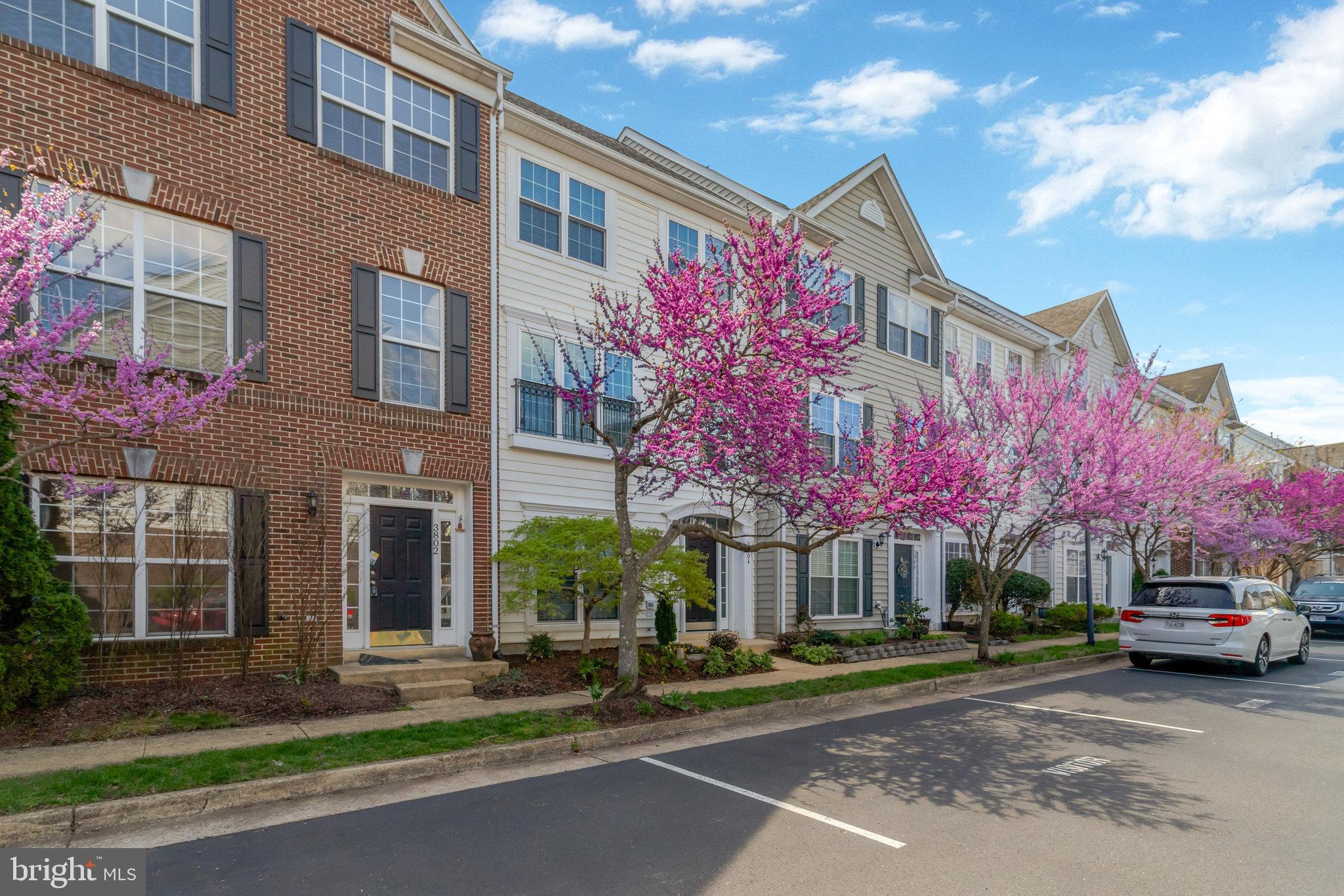 3804 DOMINION MILL DRIVE