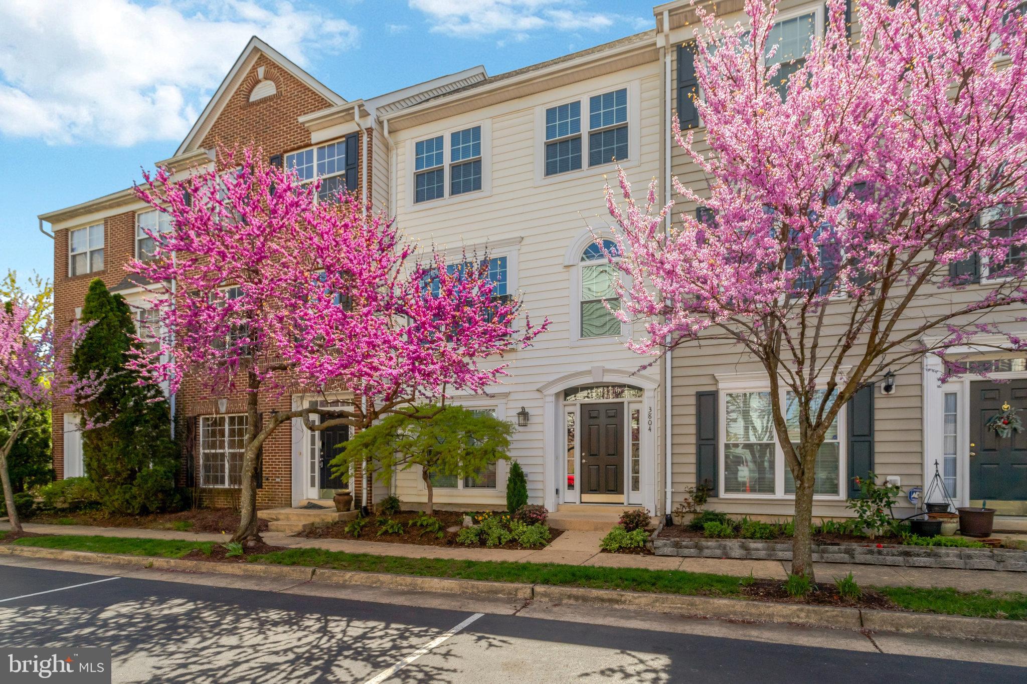 3804 DOMINION MILL DRIVE