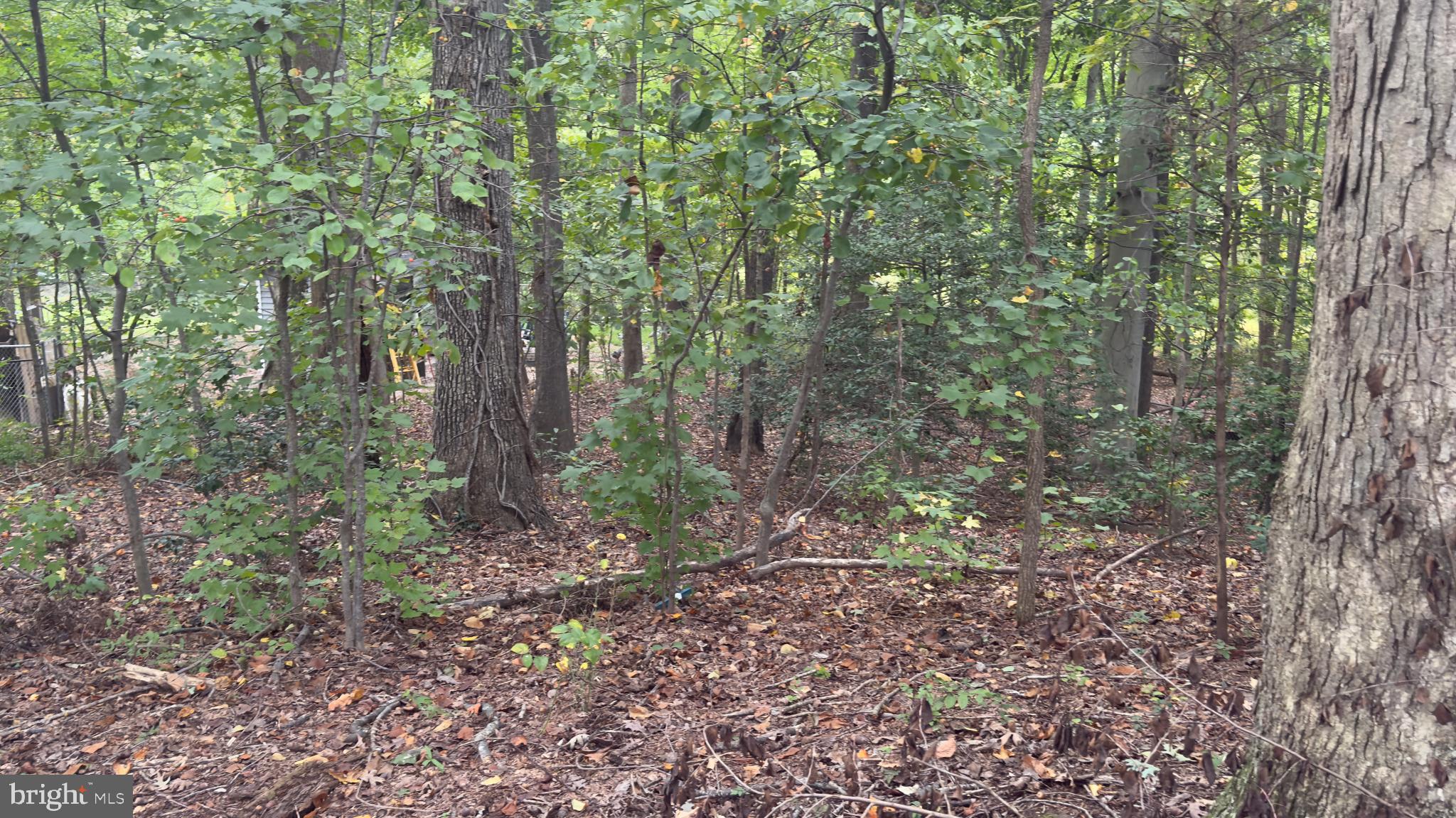 WILLIAMS WALK - Residential