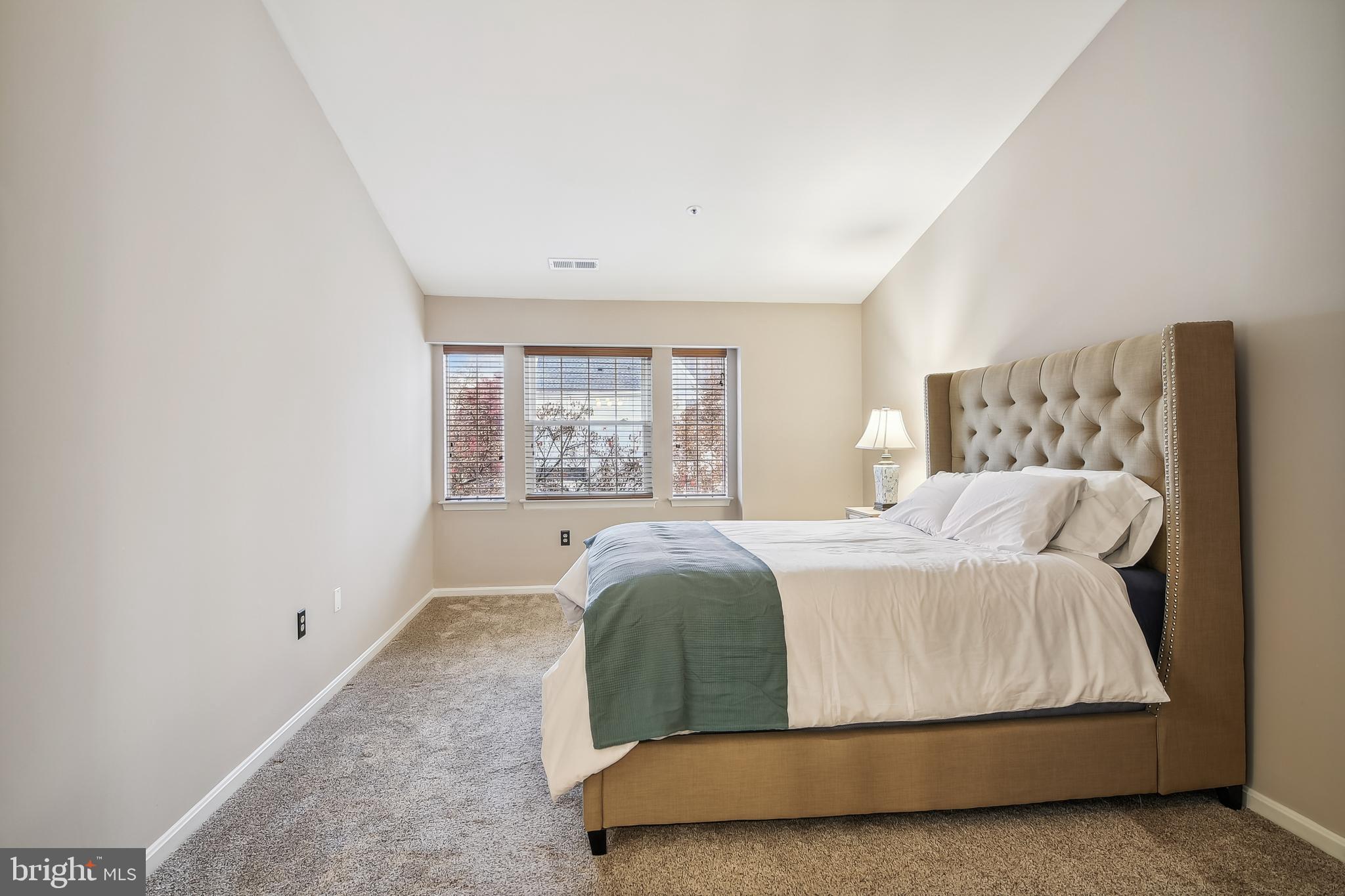 VILLAGE OF MONTGOMERY RUN - Residential