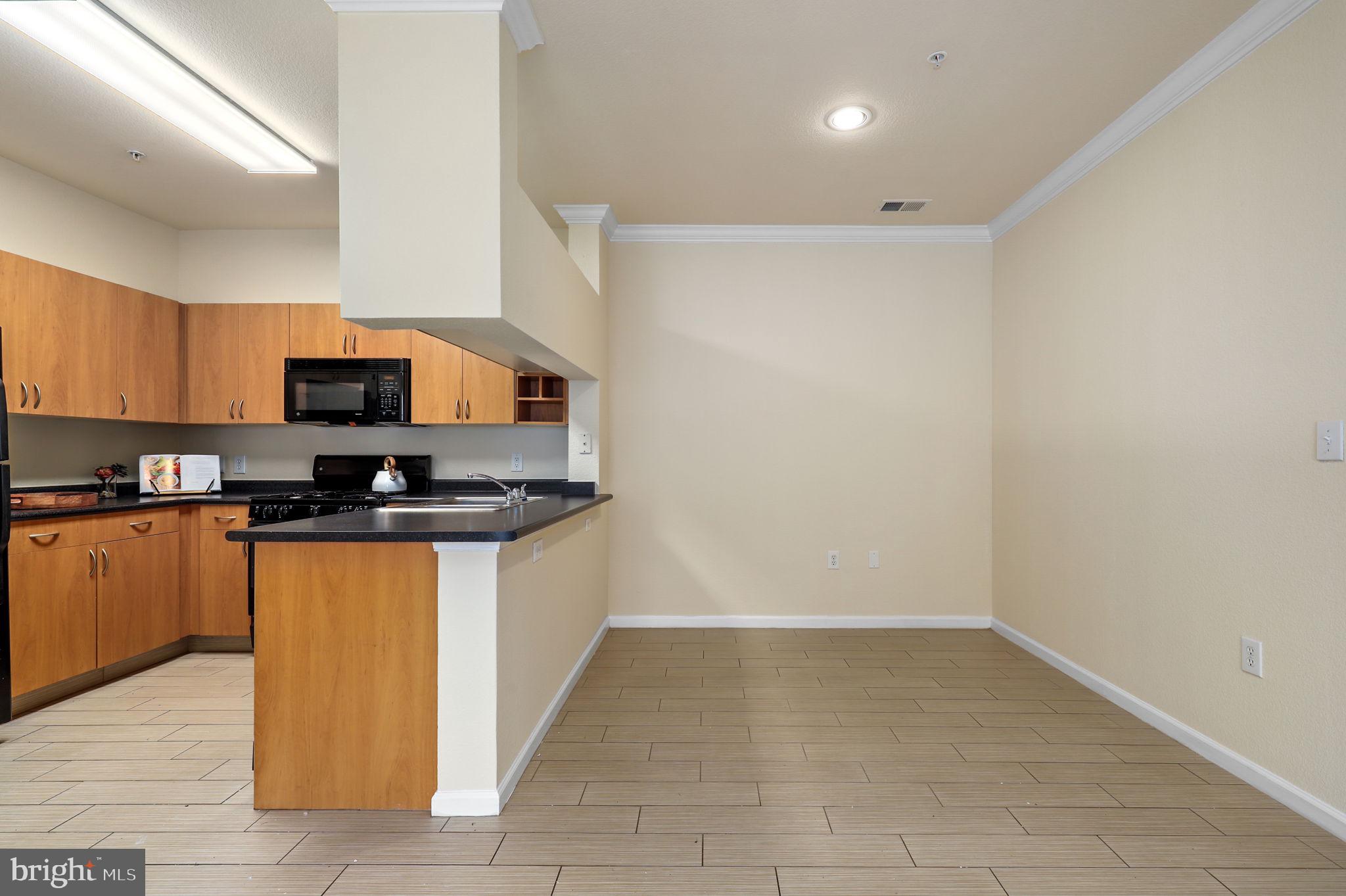 13501 KILDARE HILLS TERRACE 204