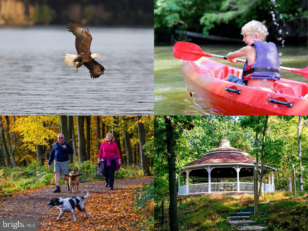 SHEPHERDS COVE - Land