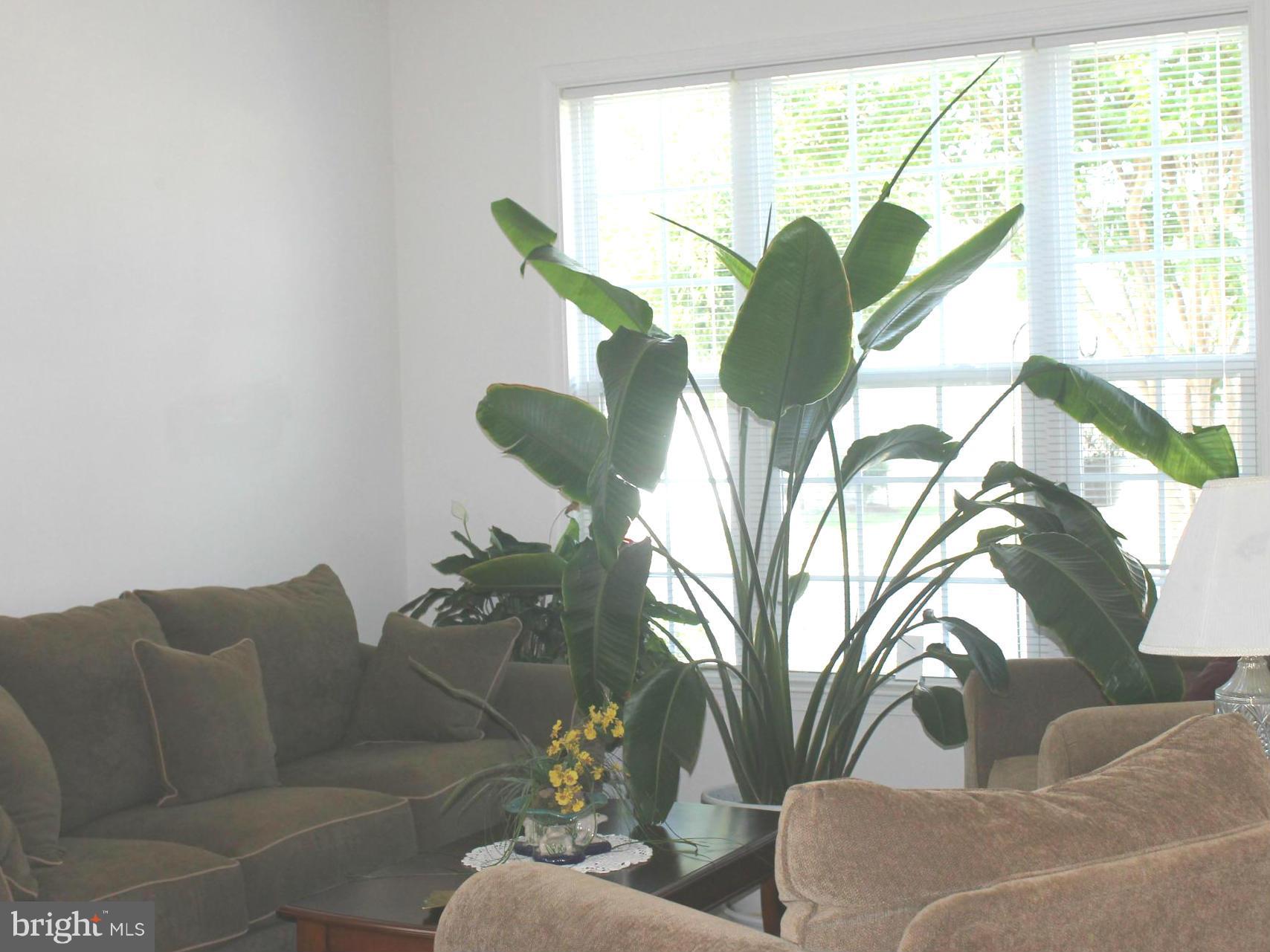 LEGACY WOODS - Residential